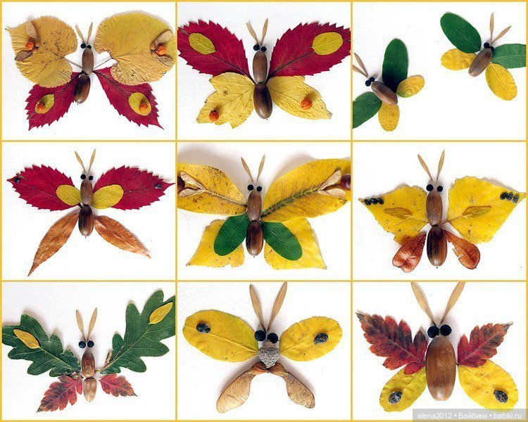 Листья осенние — Другие хобби и увлечения: сад