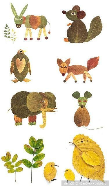 Листья осенние — Другие хобби и увлечения: сад (фото 4)