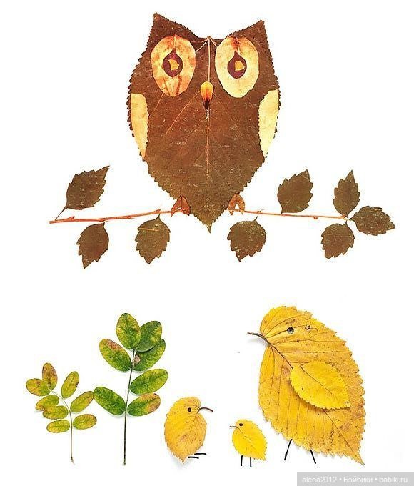 Листья осенние — Другие хобби и увлечения: сад