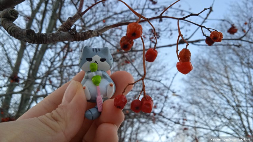 Новогодняя фотосессия котика (фото 10)