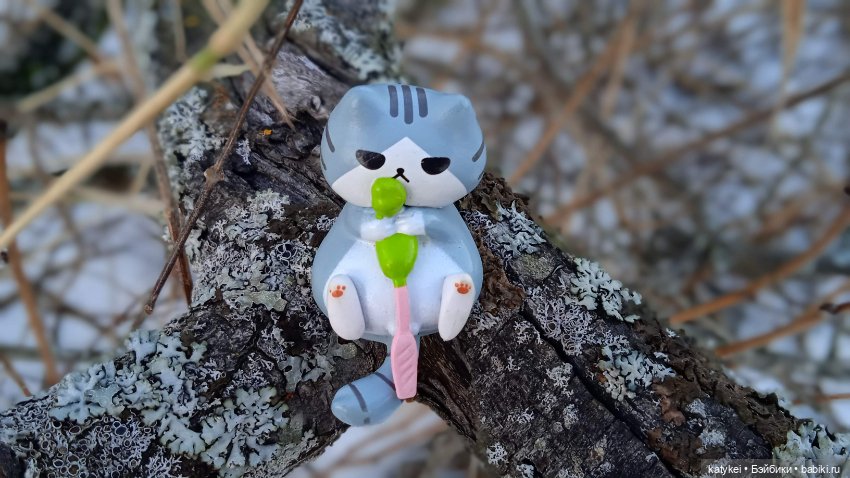 Новогодняя фотосессия котика (фото 5)