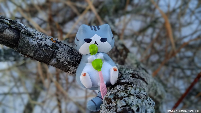 Новогодняя фотосессия котика (фото 2)