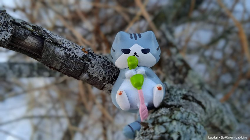 Новогодняя фотосессия котика (фото 3)