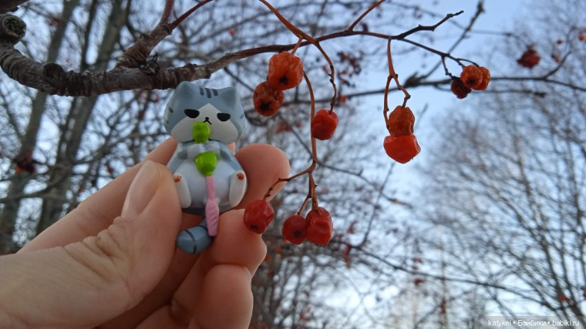 Новогодняя фотосессия котика (фото 9)