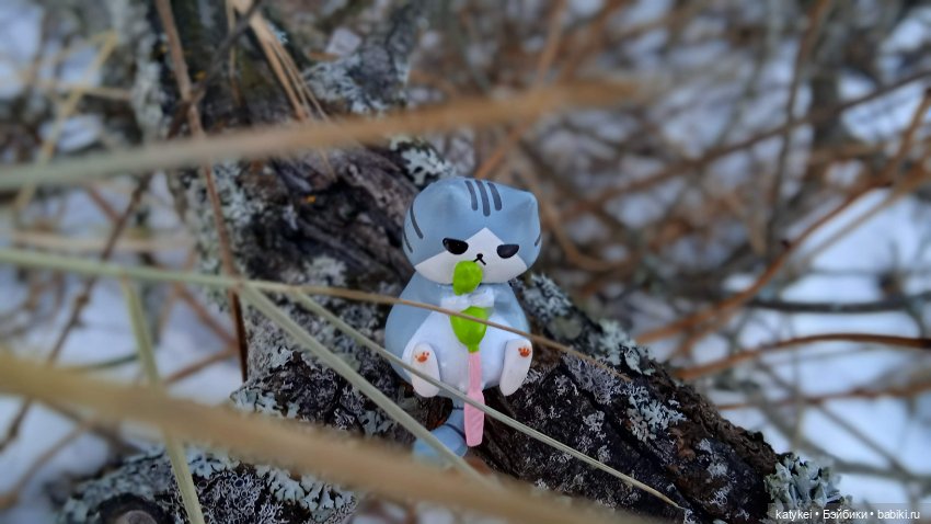 Новогодняя фотосессия котика (фото 6)