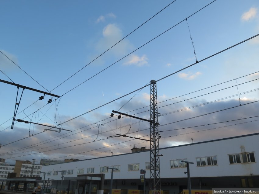 Солнечный Йоль 2024 — Куклы Ruby Red (Руби Ред) Fashion Friends: Siblies