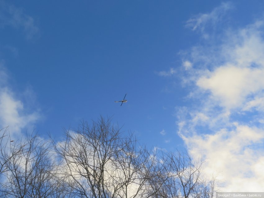 Солнечный Йоль 2024 — Куклы Ruby Red (Руби Ред) Fashion Friends: Siblies