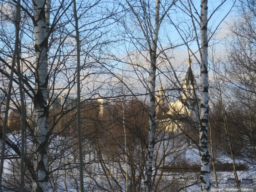 Солнечный Йоль 2024 — Куклы Ruby Red (Руби Ред) Fashion Friends: Siblies (фото 2)