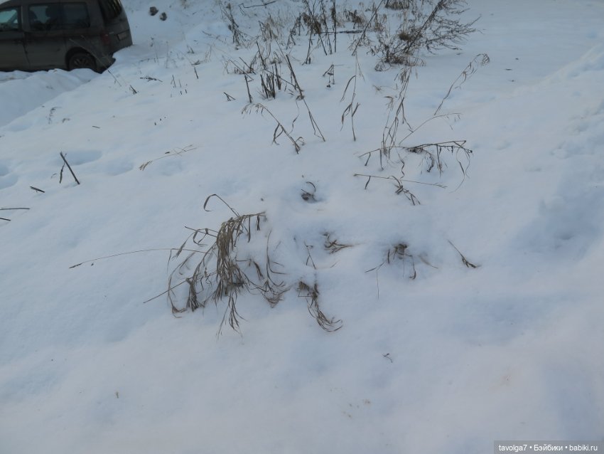 Солнечный Йоль 2024 — Куклы Ruby Red (Руби Ред) Fashion Friends: Siblies