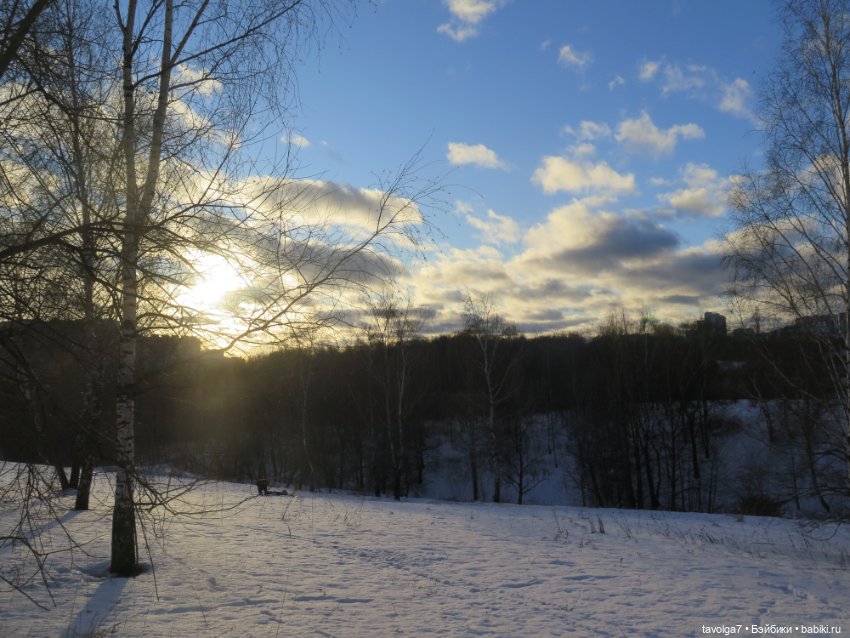 Солнечный Йоль 2024 — Куклы Ruby Red (Руби Ред) Fashion Friends: Siblies