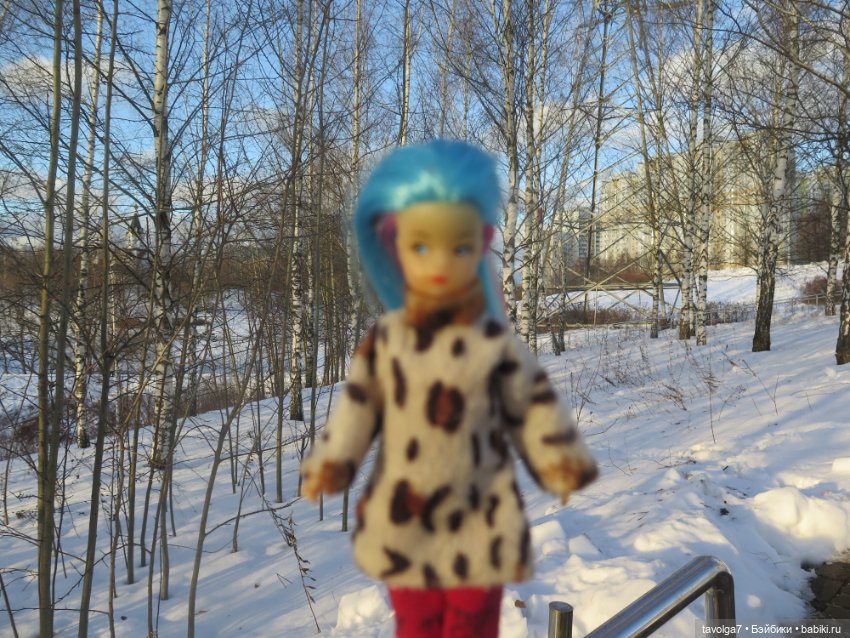 Солнечный Йоль 2024 — Куклы Ruby Red (Руби Ред) Fashion Friends: Siblies