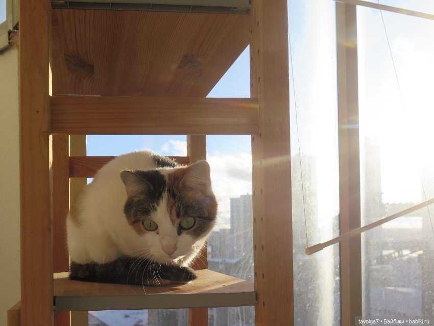 Солнечный Йоль 2024 — Куклы Ruby Red (Руби Ред) Fashion Friends: Siblies