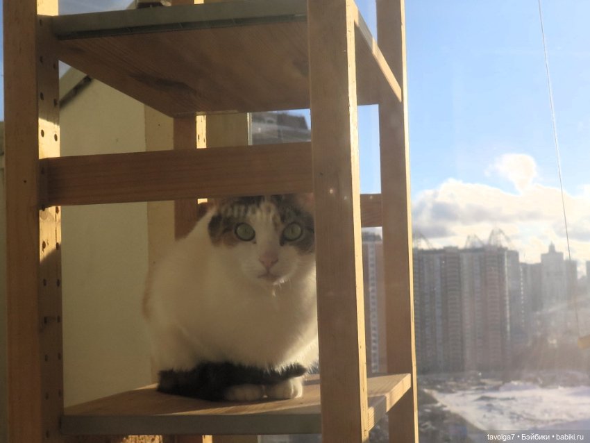 Солнечный Йоль 2024 — Куклы Ruby Red (Руби Ред) Fashion Friends: Siblies