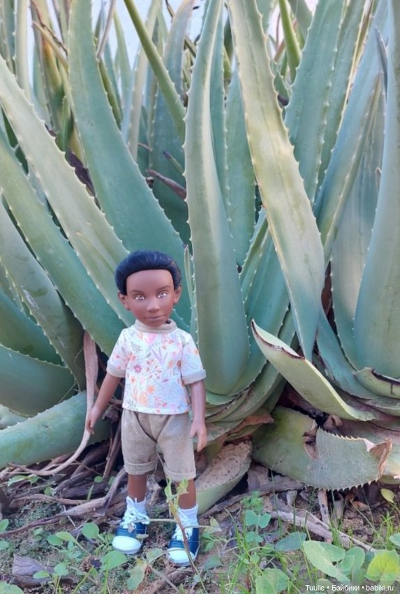 Итоги года — Домашние коллекции кукол: фото собраний