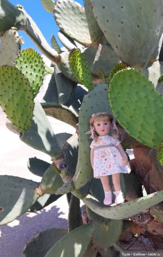 Итоги года — Домашние коллекции кукол: фото собраний