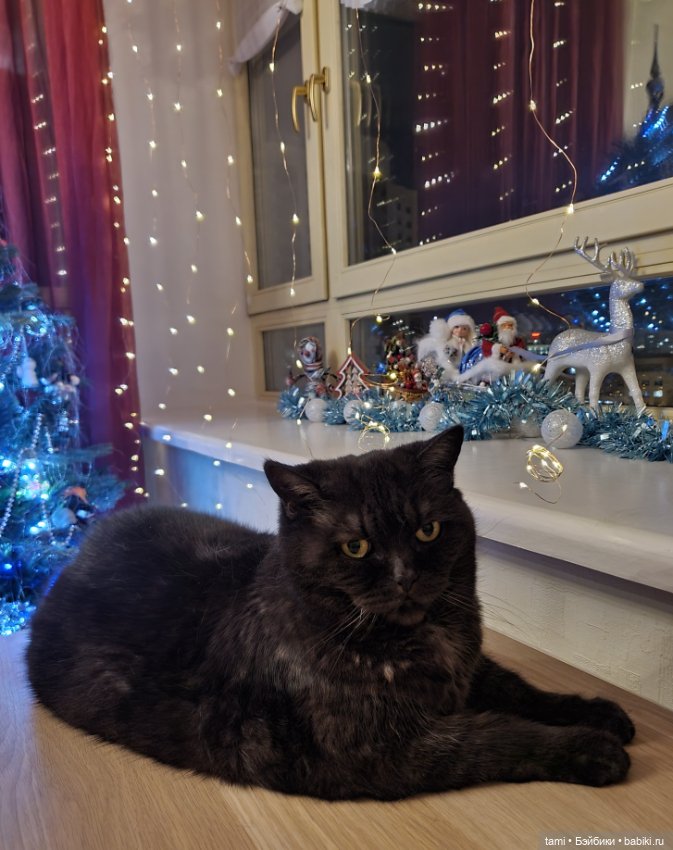 Авторские игрушки на нашей елке