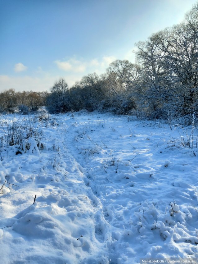Начало двух зим — Куклы Xiaomi Monst (Сяоми) и Pipitom: шарнирные