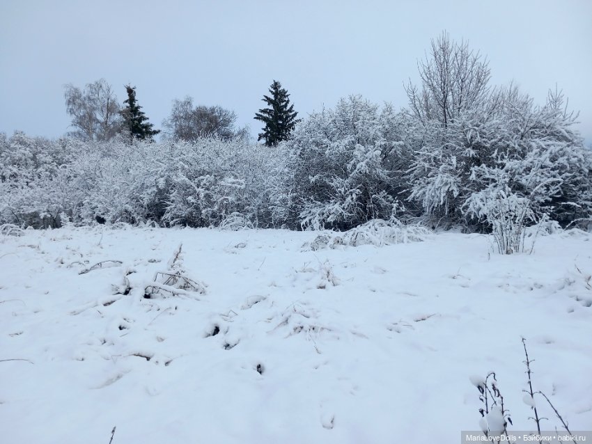 Начало двух зим — Куклы Xiaomi Monst (Сяоми) и Pipitom: шарнирные