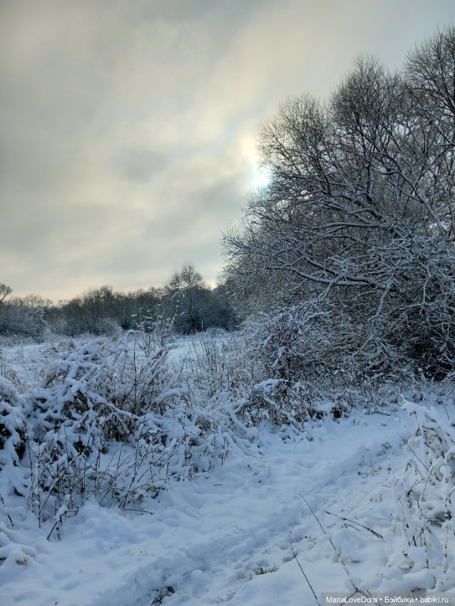 Начало двух зим — Куклы Xiaomi Monst (Сяоми) и Pipitom: шарнирные (фото 8)