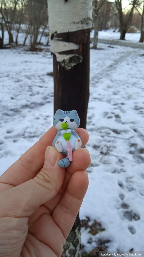 Новогодняя фотосессия котика