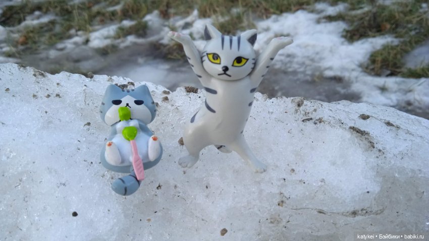 Новогодняя фотосессия котика