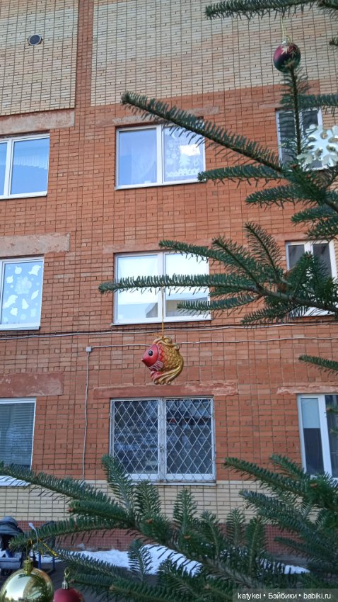 Новогодняя фотосессия котика