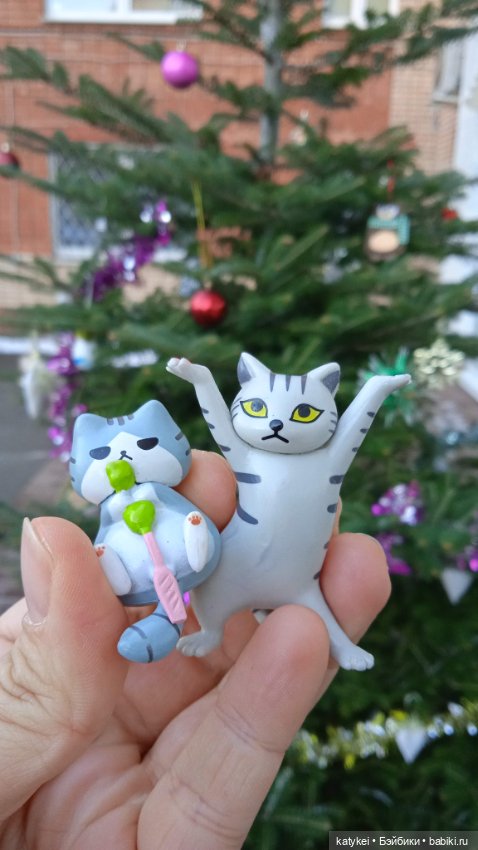 Новогодняя фотосессия котика