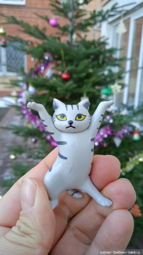 Новогодняя фотосессия котика