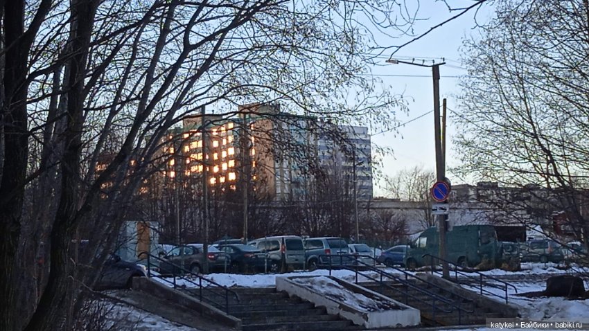 Новогодняя фотосессия котика