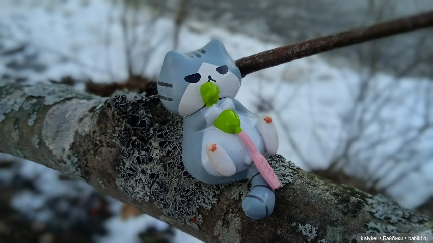 Новогодняя фотосессия котика