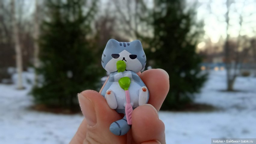 Новогодняя фотосессия котика