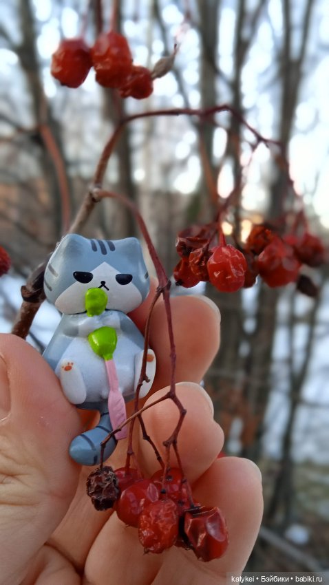 Новогодняя фотосессия котика