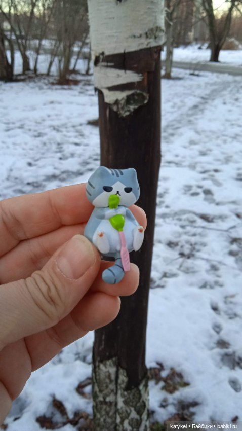 Новогодняя фотосессия котика