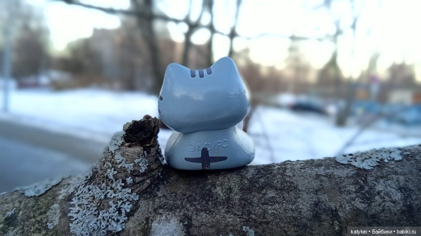 Новогодняя фотосессия котика