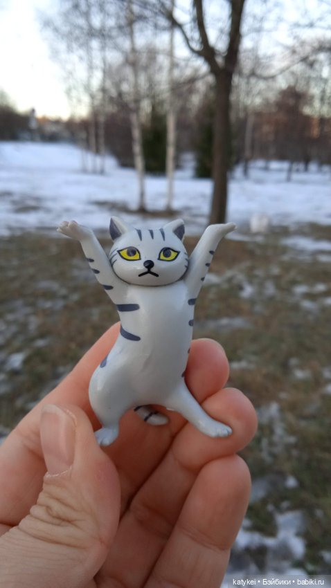 Новогодняя фотосессия котика