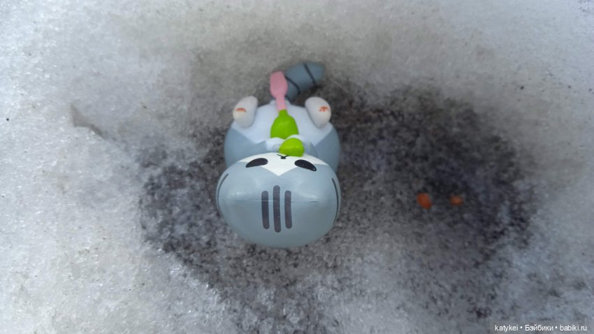 Новогодняя фотосессия котика