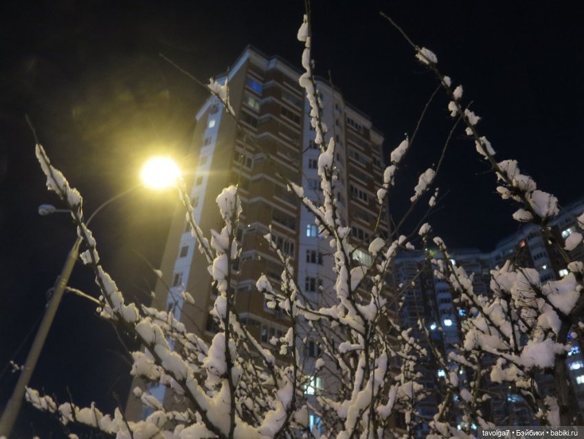 1 января 2025 — Коллекции игровых кукол (Playline): фото полок