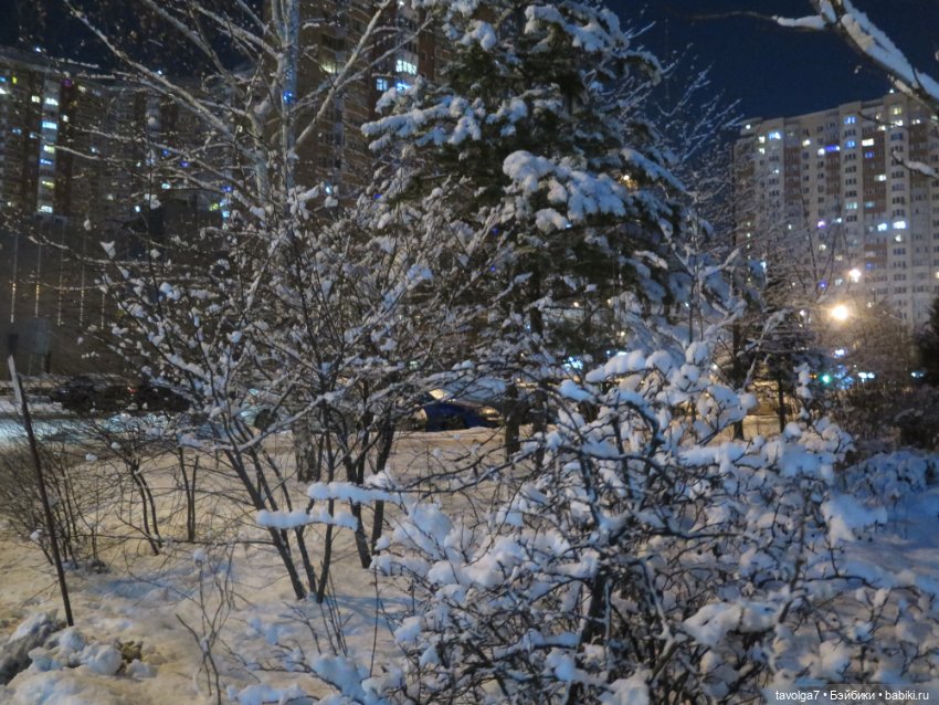 1 января 2025 — Коллекции игровых кукол (Playline): фото полок