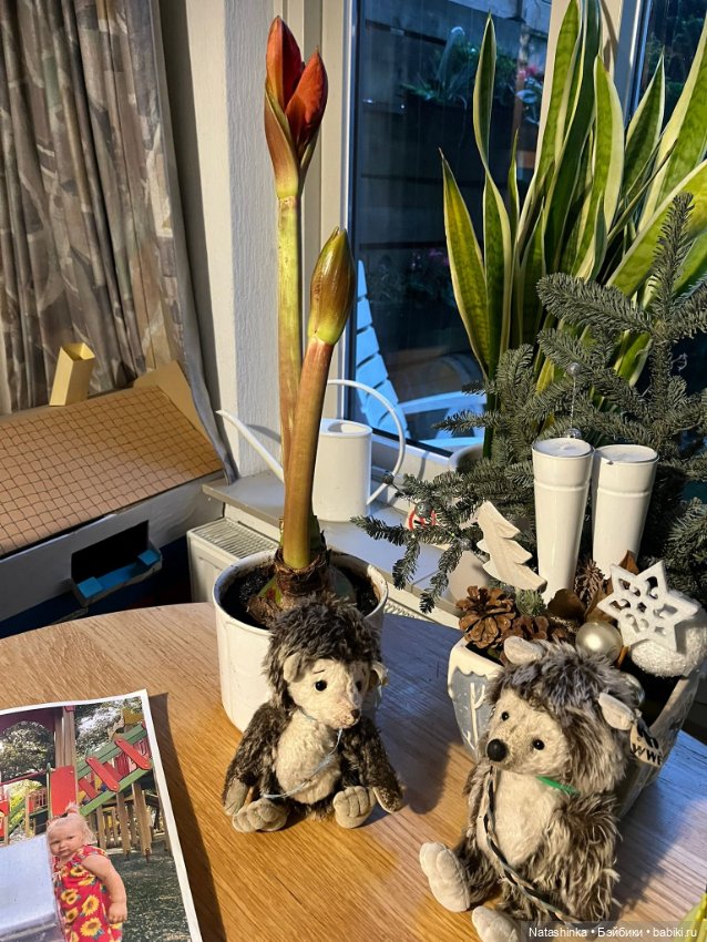 Му́зыкальная История 176 — Туризм и путешествия: фотоотчеты из поездок (фото 8)