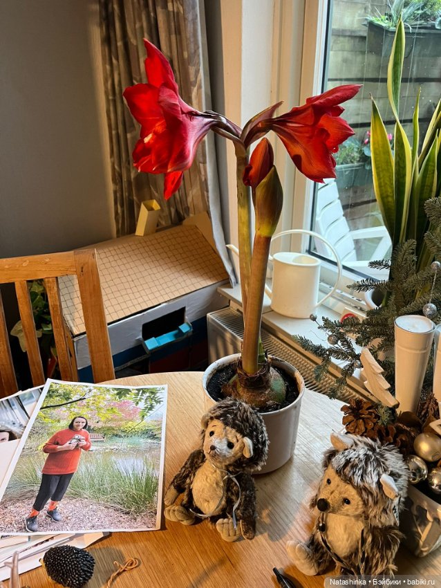 Му́зыкальная История 176 — Туризм и путешествия: фотоотчеты из поездок (фото 3)