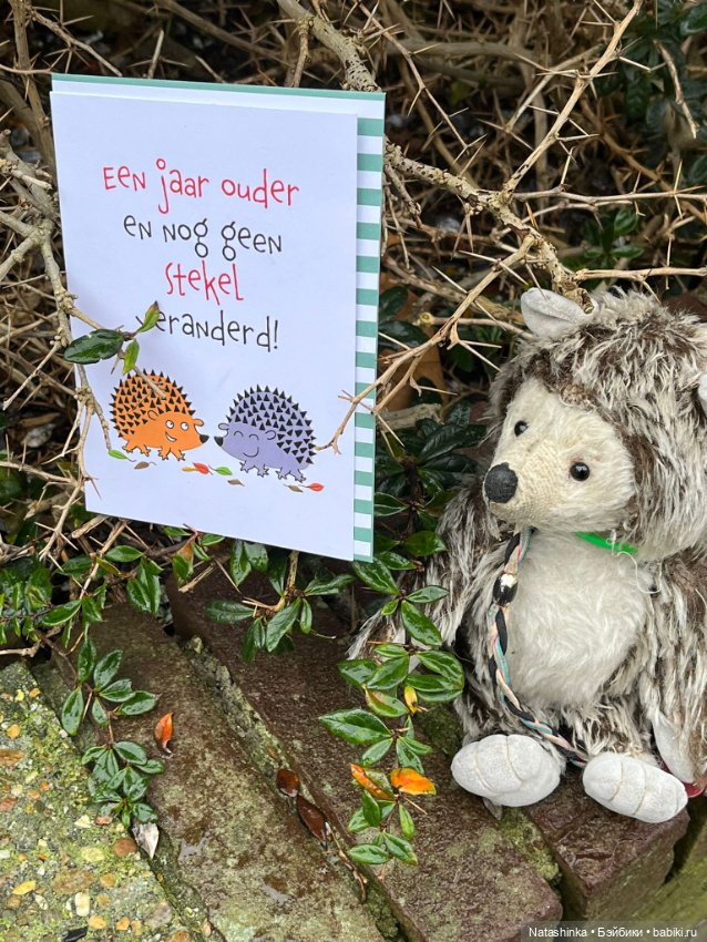 Му́зыкальная История 176 — Туризм и путешествия: фотоотчеты из поездок (фото 6)