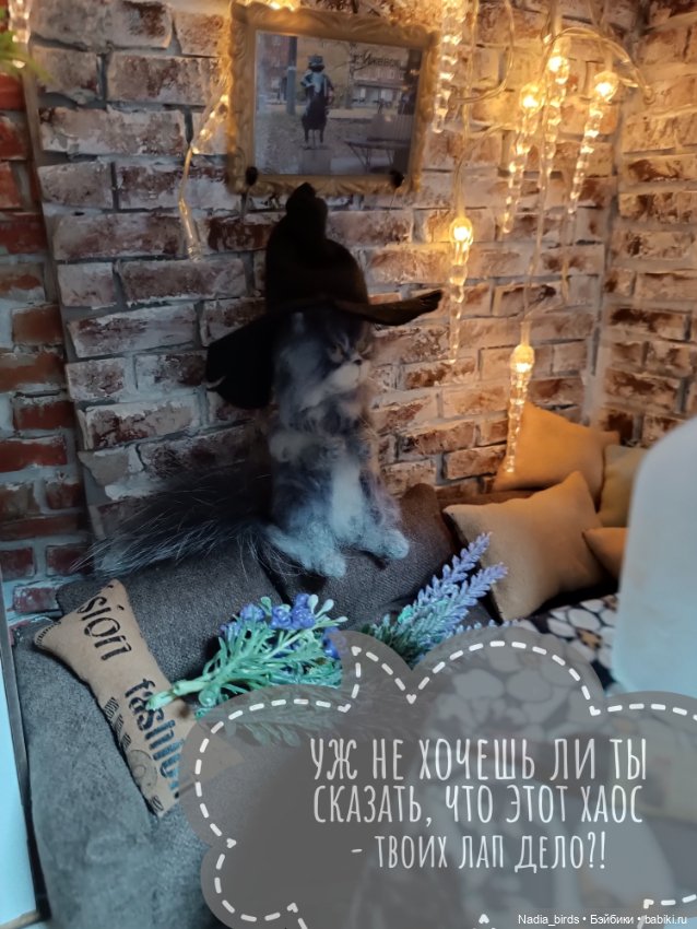 Кафе "Кошачья лапка" СНОВА меняет хозяев (фото 7)