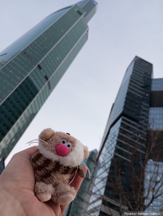 Насыщенный декабрь Кофейного кота Латте