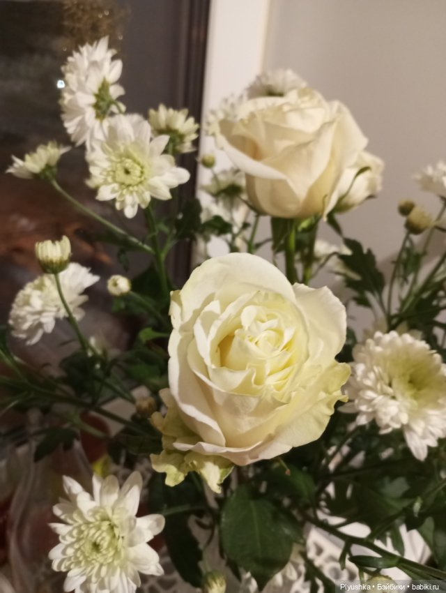 Насыщенный декабрь Кофейного кота Латте