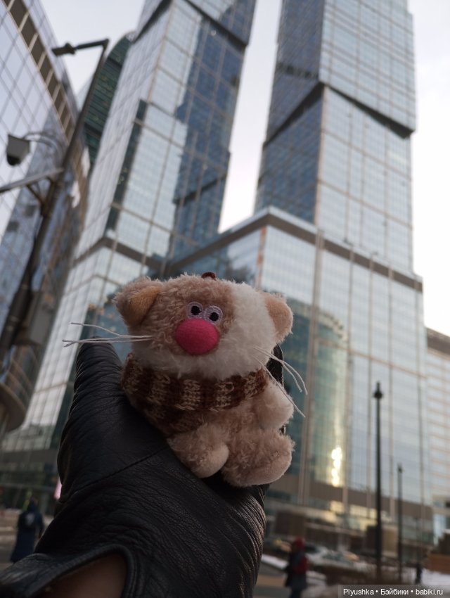 Насыщенный декабрь Кофейного кота Латте (фото 2)