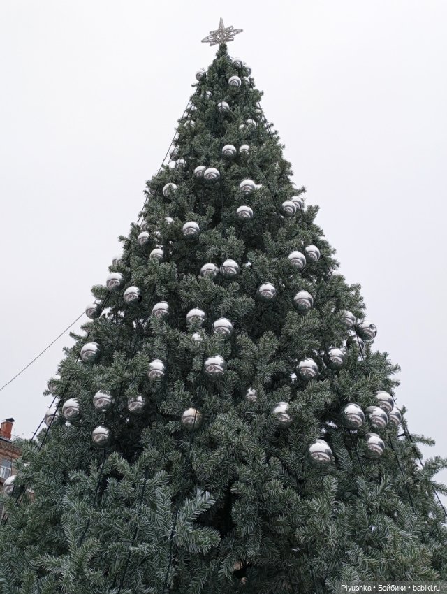 Насыщенный декабрь Кофейного кота Латте (фото 5)