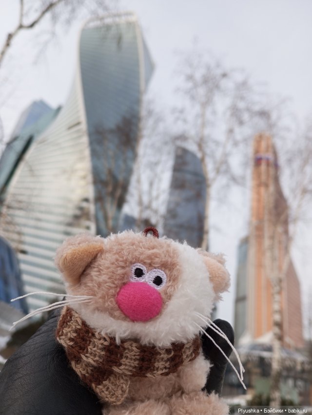 Насыщенный декабрь Кофейного кота Латте (фото 4)