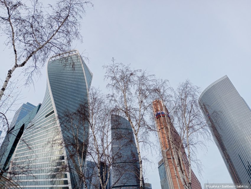 Насыщенный декабрь Кофейного кота Латте (фото 3)