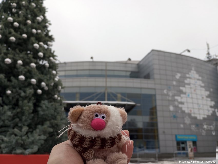 Насыщенный декабрь Кофейного кота Латте (фото 7)