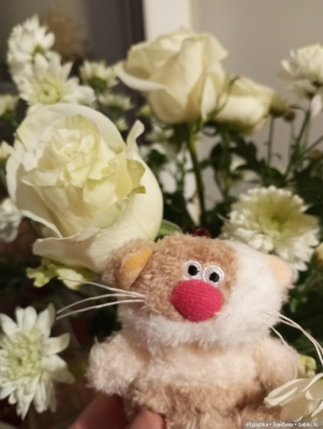 Насыщенный декабрь Кофейного кота Латте